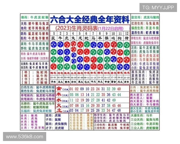 全面解析澳门新彩资料355期资料查询的最新动态与技巧